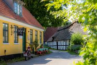 Stillleben auf der dänischen Insel Lyo