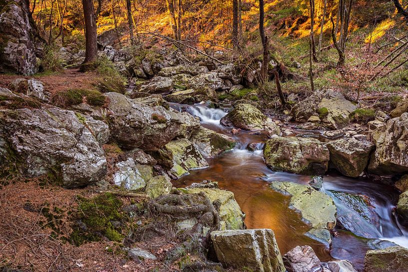 La Hoëgne (Ardennes) by Rob Boon