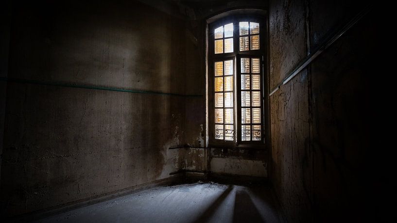 es wird Licht sein von Liliane Eliaerts