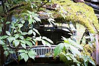 Volkswagen Kever, beetle