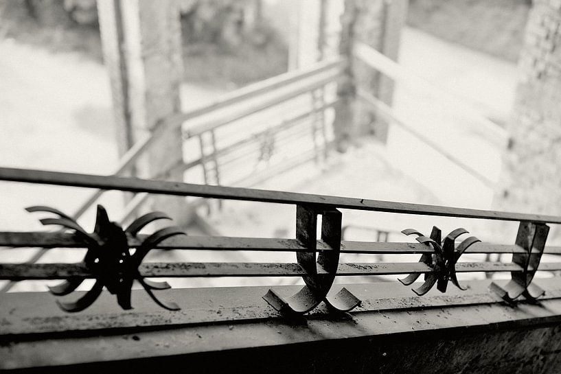 Die folgenden Unklarheiten von True Color Stories