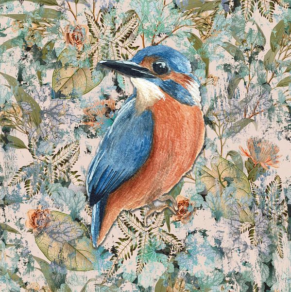 Martin-pêcheur par Behindthegray