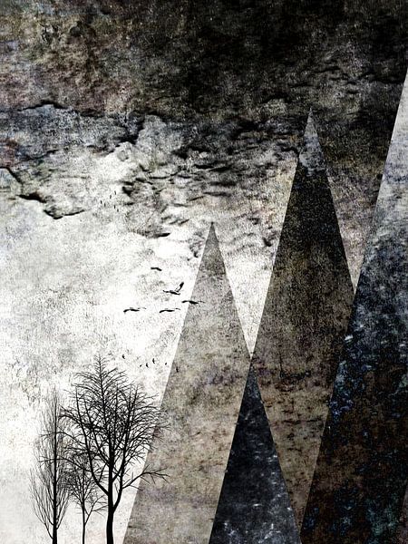 TREES besides MAGIC MOUNTAINS I van Pia Schneider