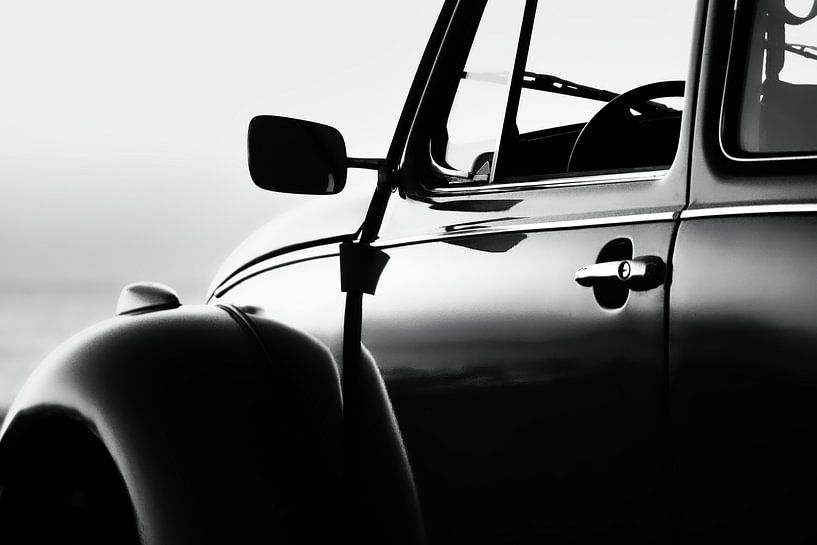 Der Käfer von Rik Verslype