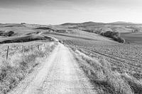 Toscaanse heuvels in zwart-wit