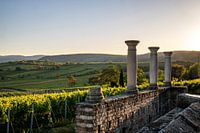 Römerkelter in Ungstein bei Bad Dürkheim an der Weinstraße