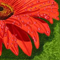 Orangefarbene Blume mit Wassertropfen