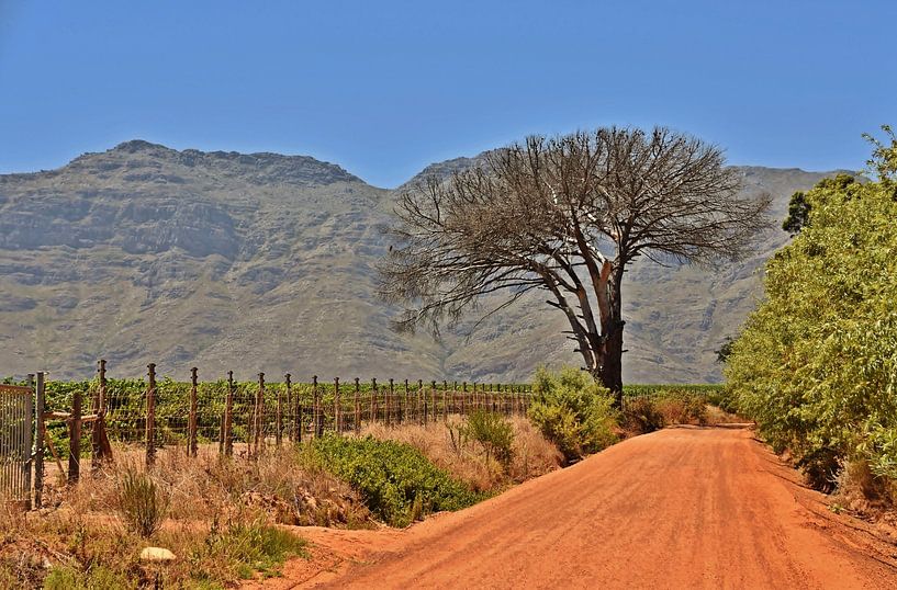 route de sable rouge par Werner Lehmann