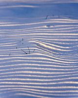 Snow Dunes