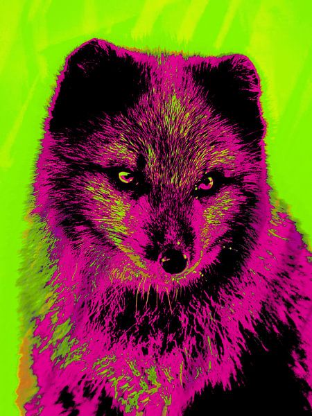 Renard Pop Art par Mad Dog Art