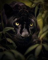 Schwarzer Jaguar auf Streifzug durch den Regenwald | Wildlife Fotografie