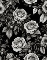 Monochrome Rose Flower