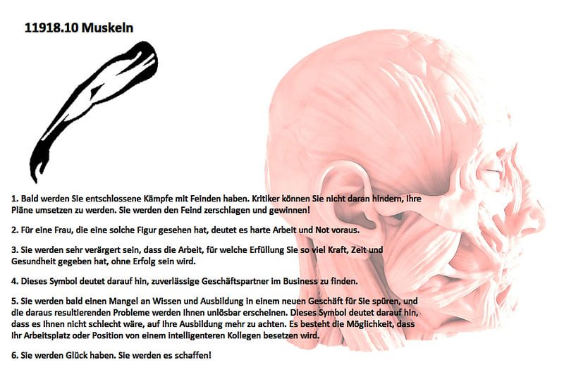 Muscles 11918.10 by Vladimir Zykunov