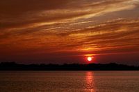 Haarrijnseplas, 6. Mai 2017 #2