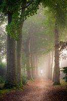 Boombergpark, Hilversum