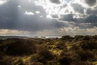 Vanuit de Zeeuwse duinen over de zee