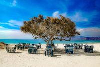 ,,Taverna Paradiso"
