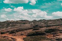 Aussicht über die Küste