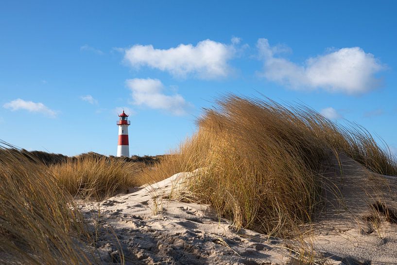 Leuchtturm List Ost auf Sylt, Nordfriesland, Deutschland von Alexander Ludwig