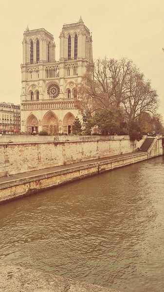 Notre dame Paris von Laurence Meijer