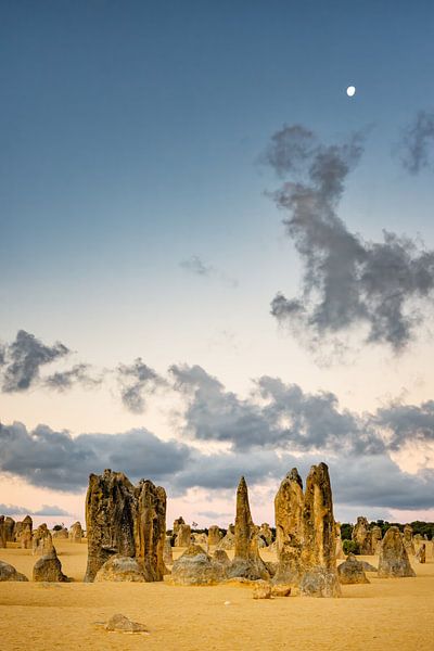 Pinnacles Wüste in der Abenddämmerung von Heiko Meier