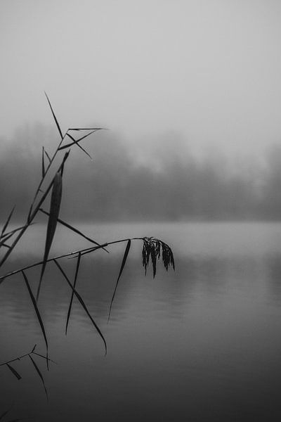 Misty morning at the water's edge by Henri van den Berg