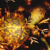 Eine Welt voller Blumen