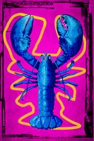 Blue Lobster