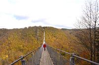 Geierlay,mörsdorf,germany