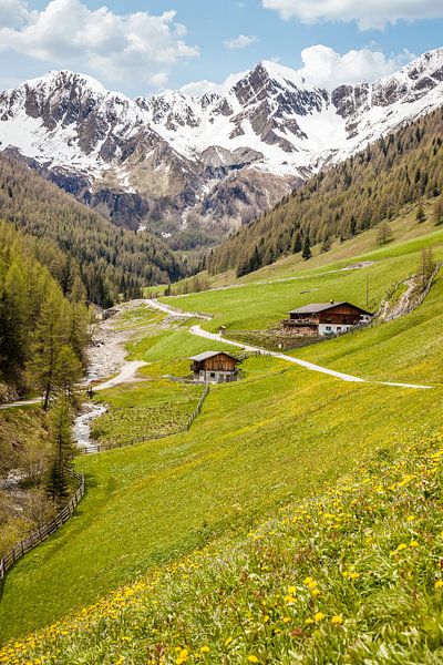 Bergmeister Alm in the Mühlwalder Valley near Lappach, Tauferer Ahrntal, South Tyrol by Christian Müringer