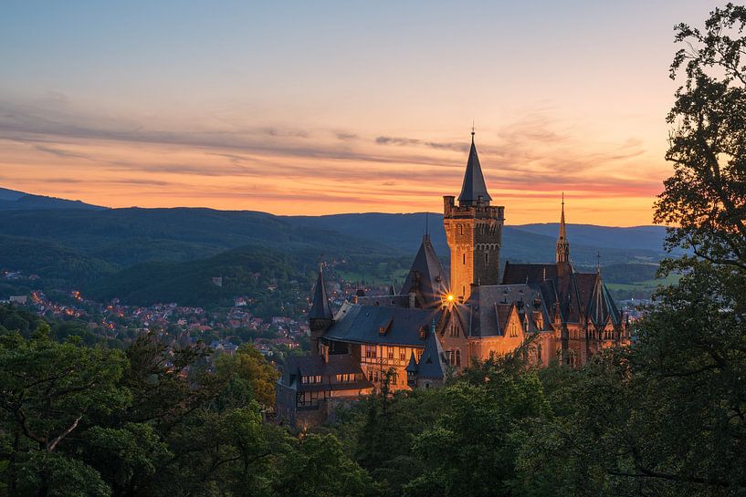 Schloss Wernigerode im Abendlicht von Robin Oelschlegel