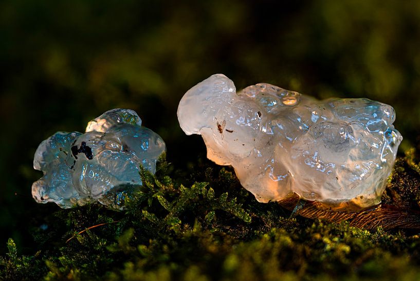 Notiz der Hexe von Jos Voormolen