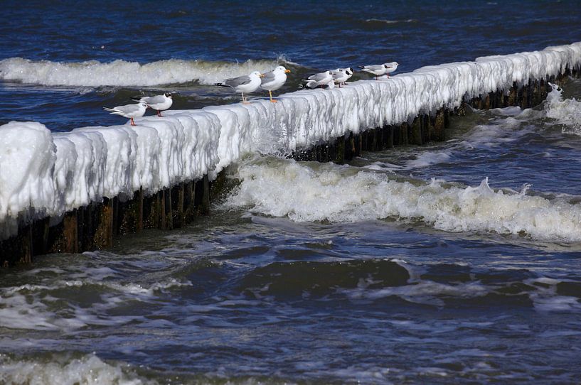 Baltic Sea by Thomas Jäger