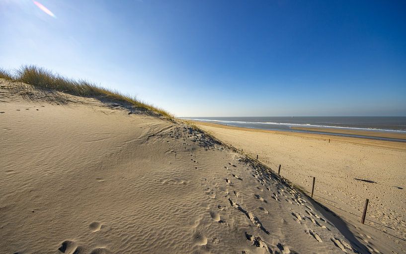 Dunes de la mer du Nord par Friedhelm Peters