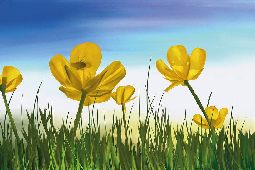 Gele boterbloemen op een wij in de zomer van Tanja Udelhofen