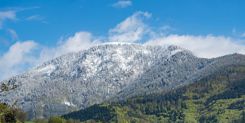 Der Belchen von Münstertal aus gesehen von Photo Art Thomas Klee