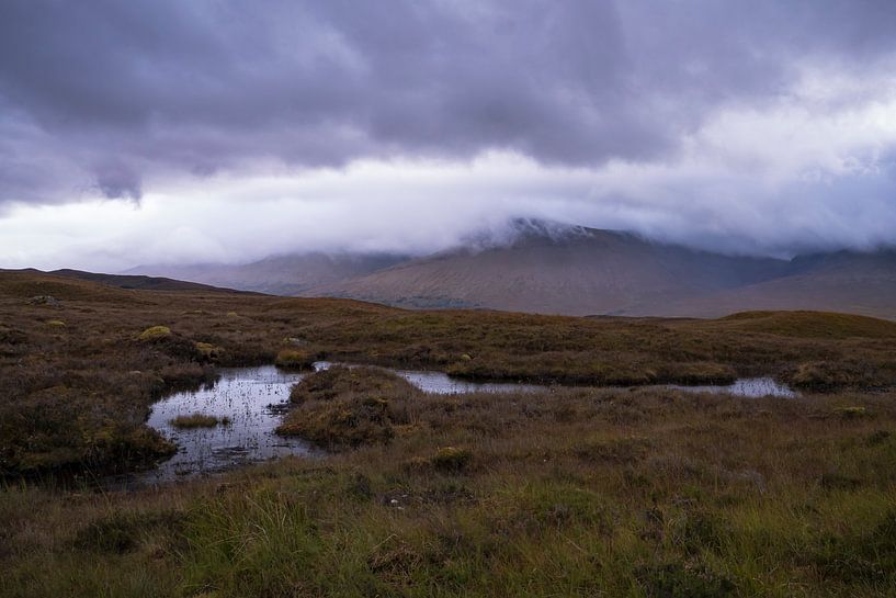 moorland Rannoch Moor by Willemijn Wolthaus