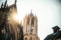 Dom tower Utrecht and Dom church