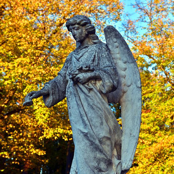Enchanting angel in front of colourful autumn leaves by Silva Wischeropp