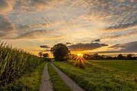 Empese und Tondense Heide