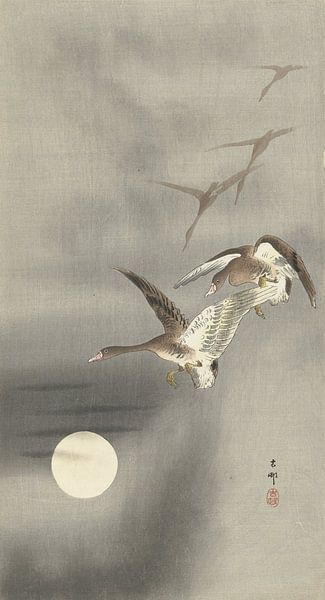 Gänse auf der Flucht vor Ohara Koson von Gave Meesters