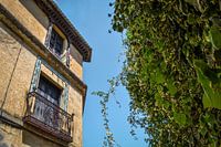 Palais et fleurs à Ronda