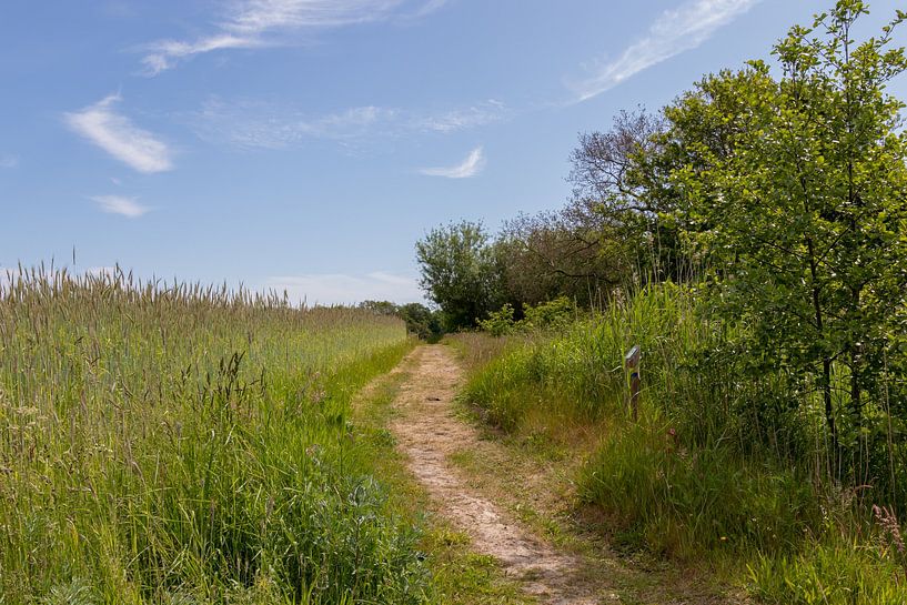 Groningen et Drenthe Veenkoloniën par Johan Mooibroek