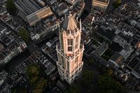 Der Dom zu Utrecht im goldenen Morgenlicht