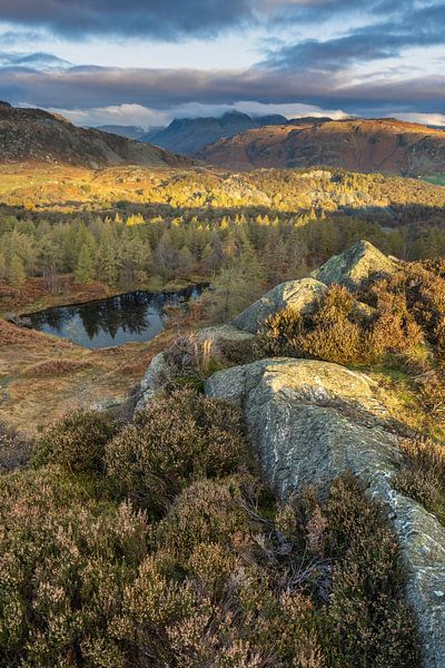 Holmefell Lake District par Sander Groenendijk