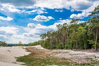 Dunes de Loonse et Drunense