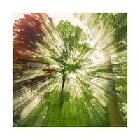 Zoom blur photography