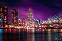 Skyline von Rotterdam bei Nacht