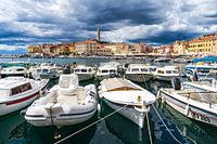 Rovinj panorama