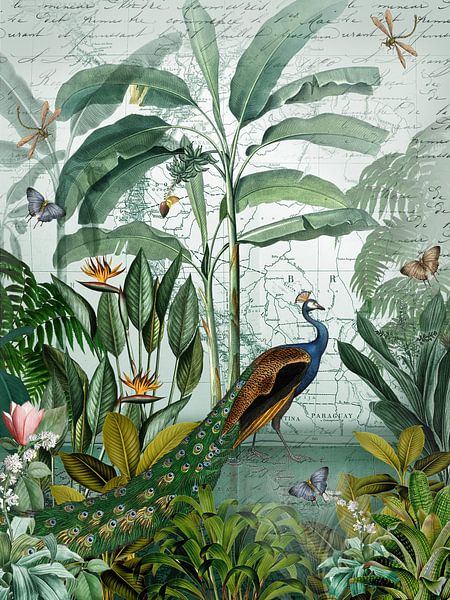 Der Pfau genießt seine Freiheit von christine b-b müller